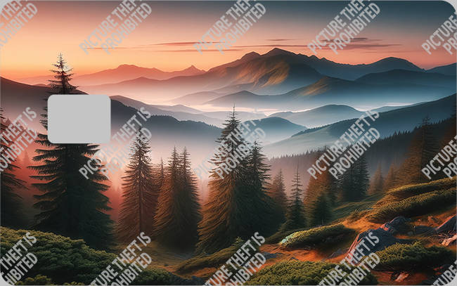 Bank  Card Sticker-BC-2180